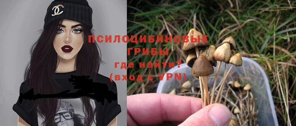 mdpv Беломорск