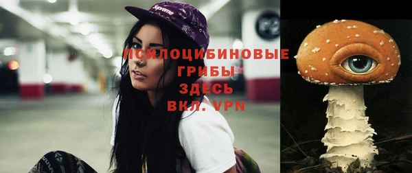 гашиш Богородск